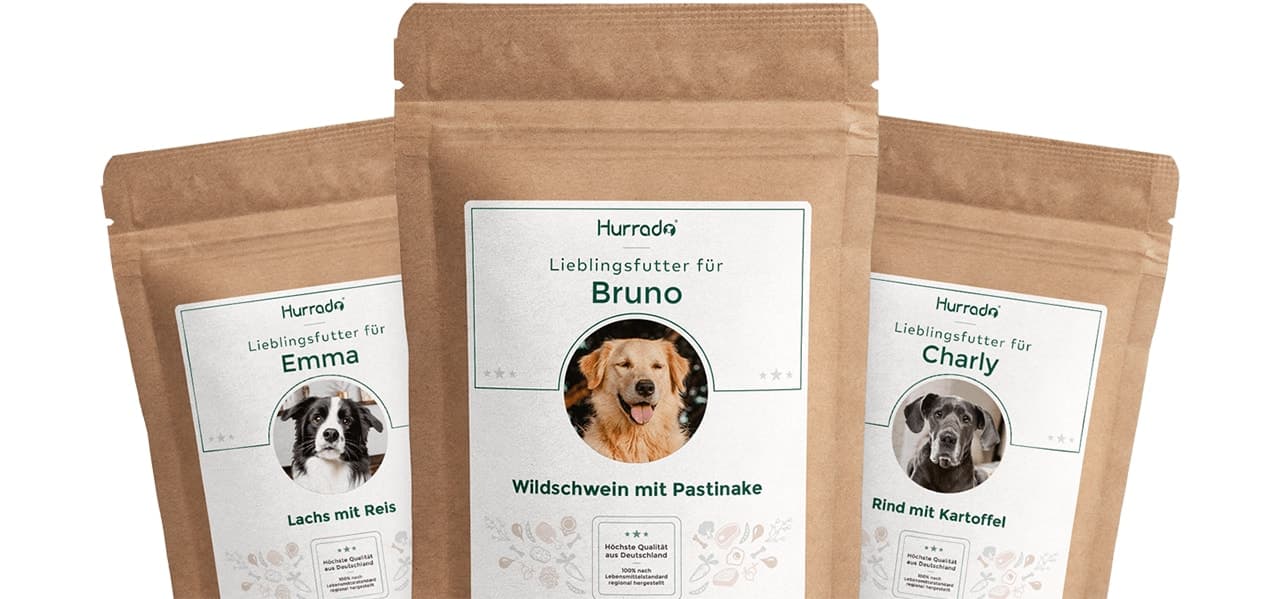 Hundefutter Sacks