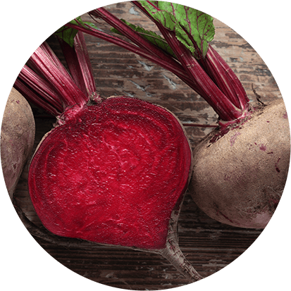 Nährstoffreiche Rote Beete