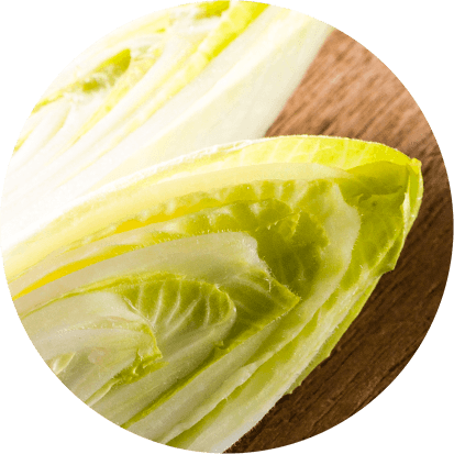 Präbiotisches Zichorien-Inulin