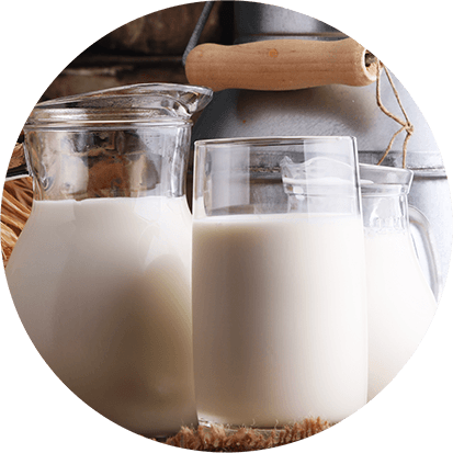 Protein- und nährstoffreiche Milch