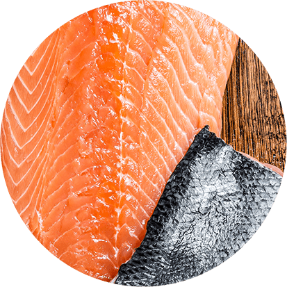 Lachs mit essentiellen Fettsäuren