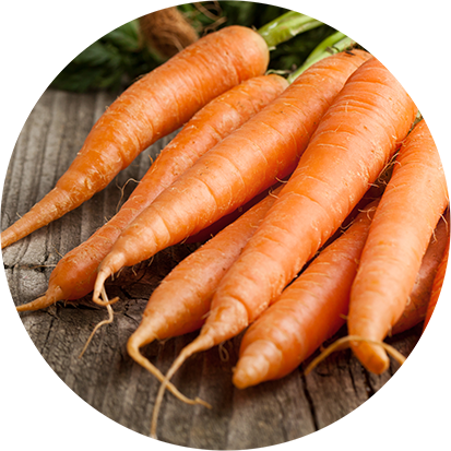 Nährstoffreiche Karotten