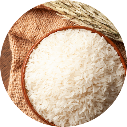 Reis als Energiequelle für empfindliche Mägen